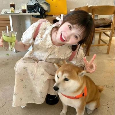 恋恋铜锣烧 海报